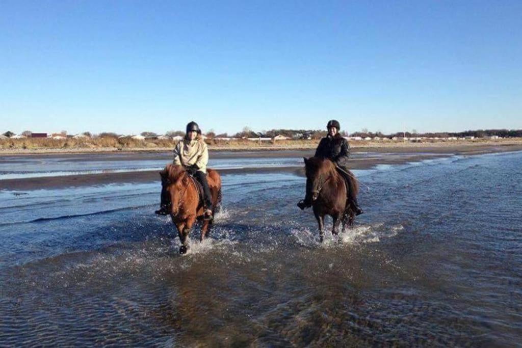Havsnaera Lantligt Boende Glommen Bagian luar foto