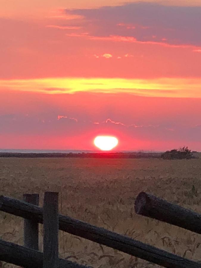 Havsnaera Lantligt Boende Glommen Bagian luar foto